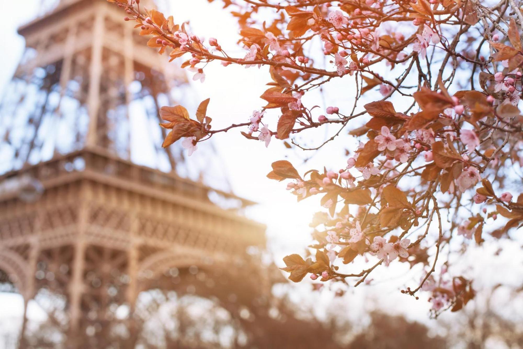 Timhotel Tour Eiffel Parigi