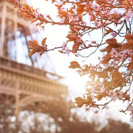 Timhotel Tour Eiffel Paris